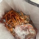 옥상조개구이&홍게무한리필 이미지