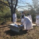 팔곡당산 산신당 및 산신제 이미지