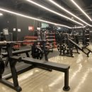 세종헬스 이미지