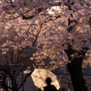 (스마트폰으로 즐기는) 디지털 리터러시 이미지