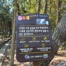 화목길 이미지