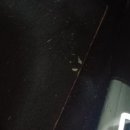 스팀손세차