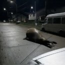 바다랑육지랑 이미지