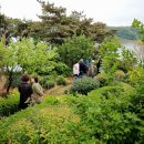 주택정원 셀프정원디자인 이미지