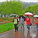 덕성초교 이미지