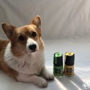 나누리펫 이미지