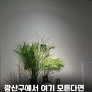 액티브짐 신가점 이미지