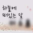 사나앤컷 이미지
