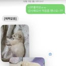 디테일 동물의료센터 이미지