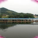 신봉 낚시터 이미지