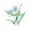 엄마손건강원 - 영주시 선비로 258 | 엄마손건강원