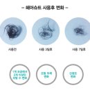 굳디컴퍼니