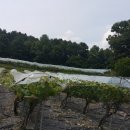 원흥리 마을회관 이미지