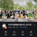 이삭애견 | 성남 분당 유기견 봉사활동 우다다 산책 현실 후기 (+준비물, 신청방법)