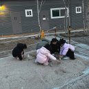 쉬리 | [서울근교 소규모 캠핑장 추천]파주 적성면 ‘나무와쉬리 캠핑장’ 솔직 후기