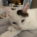 이종현축사 | 23년의 절반을 보내며 (23.06.26~23.07.02)