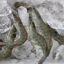 섬 왕새우축제 이미지