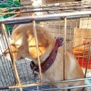 대암둔기로 이미지