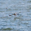 시장화장실(어물전) 이미지