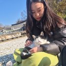 눈으로 보이지 않는 마음의 소리 | 태백산이 우리에게 건네준 선물 같은 시간