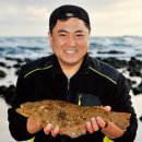 영어조합법인 일출봉 이미지