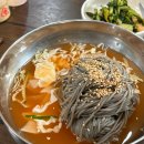 군산 옥산 맛집 호남메밀막국수에서 막국수 먹고 온 후기입니다!