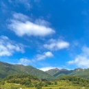 하루모텔 이미지