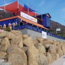 선정은하수꼬막마을 이미지