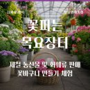 로즈장여관 | 김해 꽃피는 목요장터 꽃바구니 체험 1만원, 어버이날 스승의날 전 가볼만한 곳