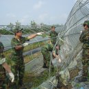 예비군중대본부 이미지