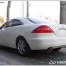 카스피드 이미지