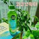 코코농장 1 | &lt;코코넛워터&gt; 당류 없는 클린 수분 루틴 완성! 물보다 깔끔한 타이코코 남홈 후기