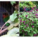 신흥1동 이미지