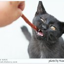 쭌이야기 이미지