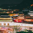 경복궁 티스토리