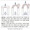 성당 이야기48: 고딕 성당의 기본 구조 (1) 포인티드 아치(첨두 아치) .. 서울대교구 주호식 신부님 이미지