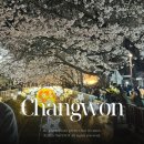 진동리주차장2(주차장 내) | 2026 진해 군항제 벚꽃축제 기간 주차장 실시간 명소 다녀온 후기 (길 현황 개화시기)