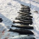 아인53펜션 이미지