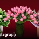 The King's gym 이미지