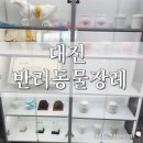 (주)반려동물 장례지원단 | 대전 반려동물장례 믿고 맡겨주세요