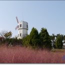 사구농장 이미지