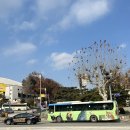 샛골로41번길 이미지