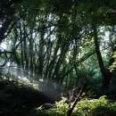 (주)하나투어제주 이미지