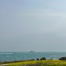 현대꽃상회 이미지