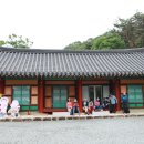 도림사 티스토리