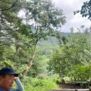 여우목로 이미지