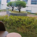 스타벅스 안양덕현DT점 이미지