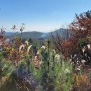 계림육계영농조합법인 이미지