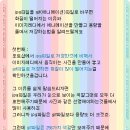 <포토샵>이미지레디에서 파일용량줄이기와 gif파일의 화질이 떨어지는 이유 이미지