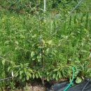 별샘농장 이미지